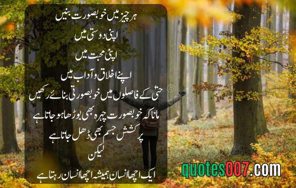 Best quotes in Urdu text