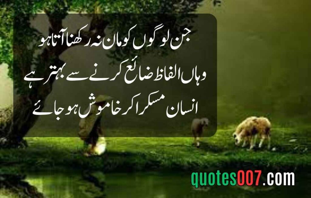 Best quotes in Urdu text