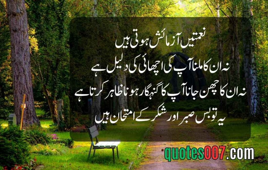 Best quotes in Urdu text