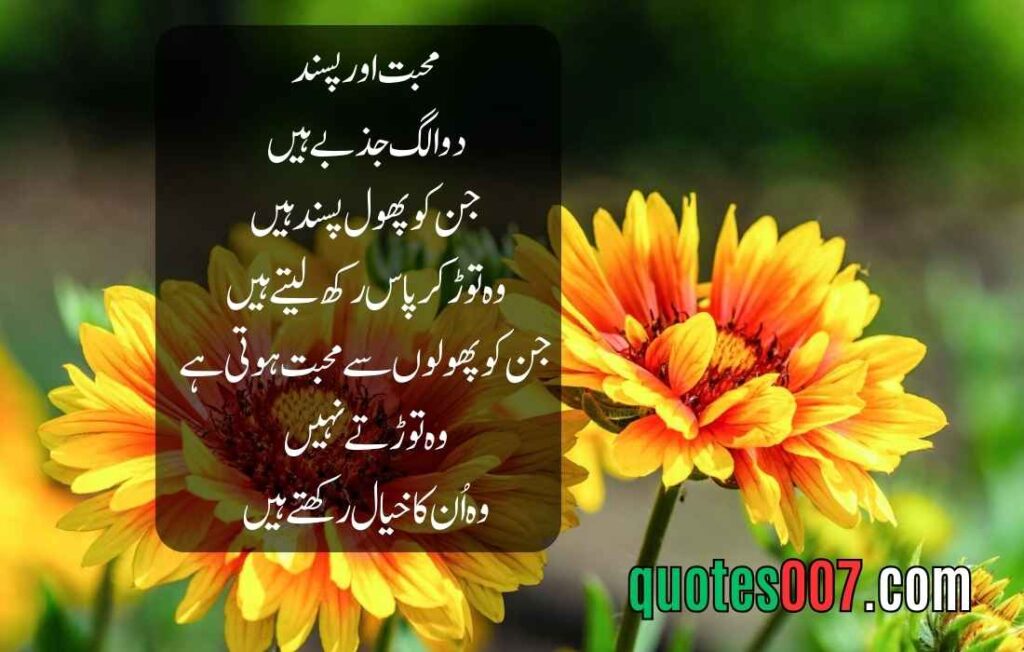 Best inspiration in English and Urdu