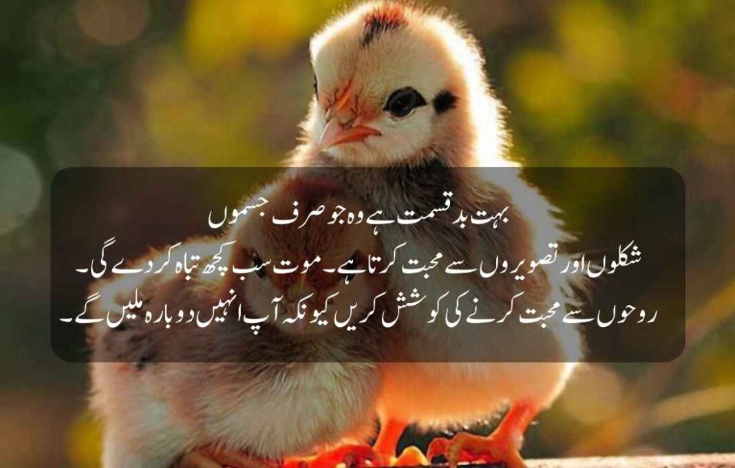 Islamic Quotes in Urdu text