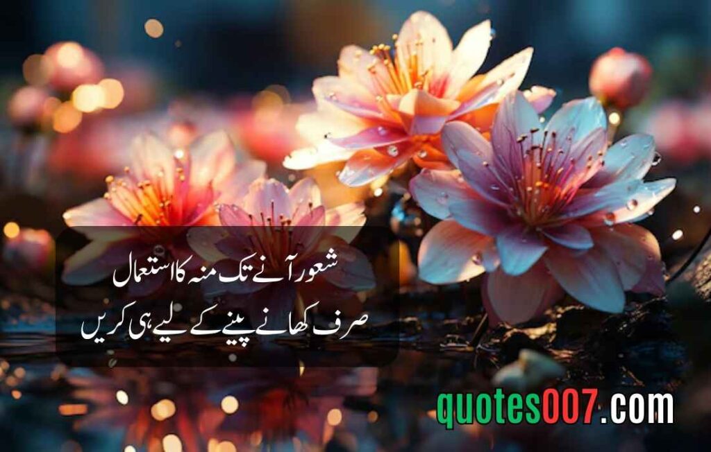 2 Line Quotes in Urdu and English