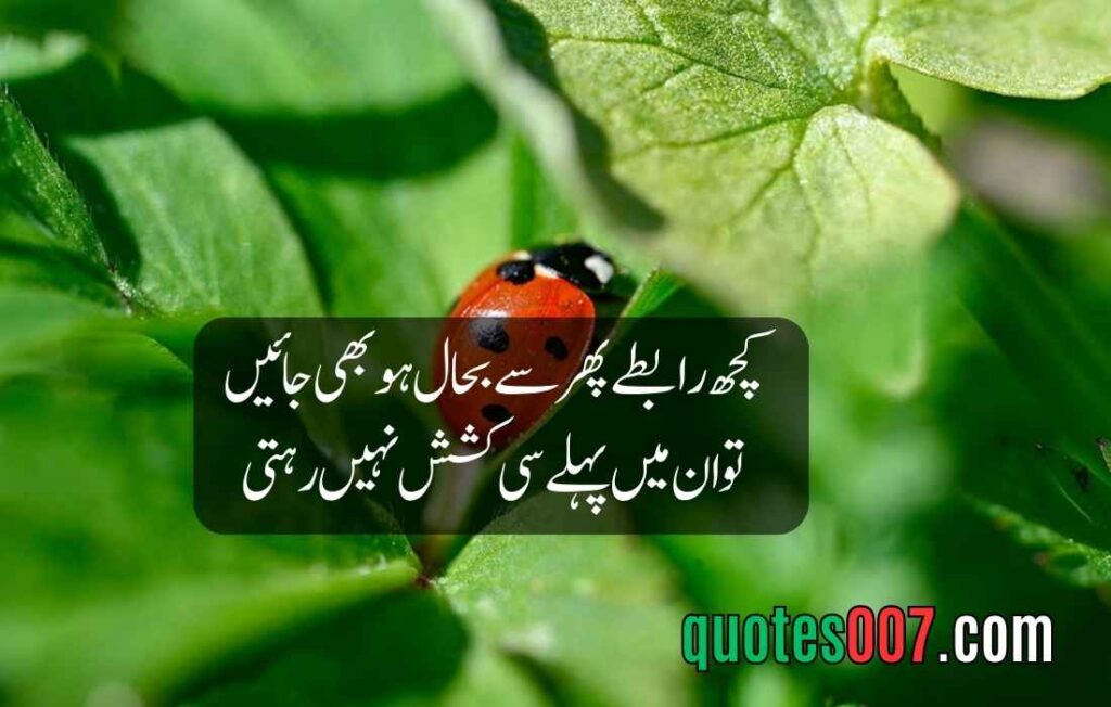 2 Line Quotes in Urdu and English