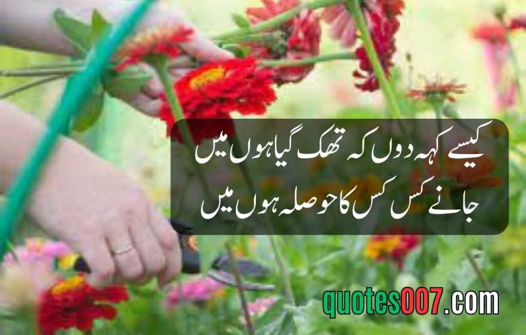 2 Line Quotes in Urdu and English