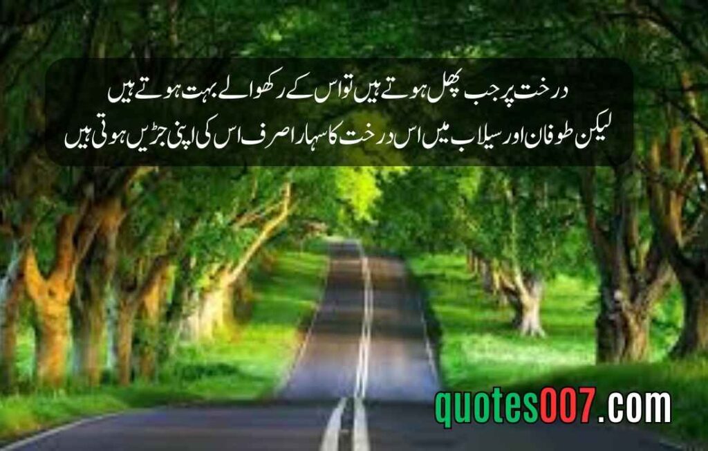 2 Line Quotes in Urdu and English