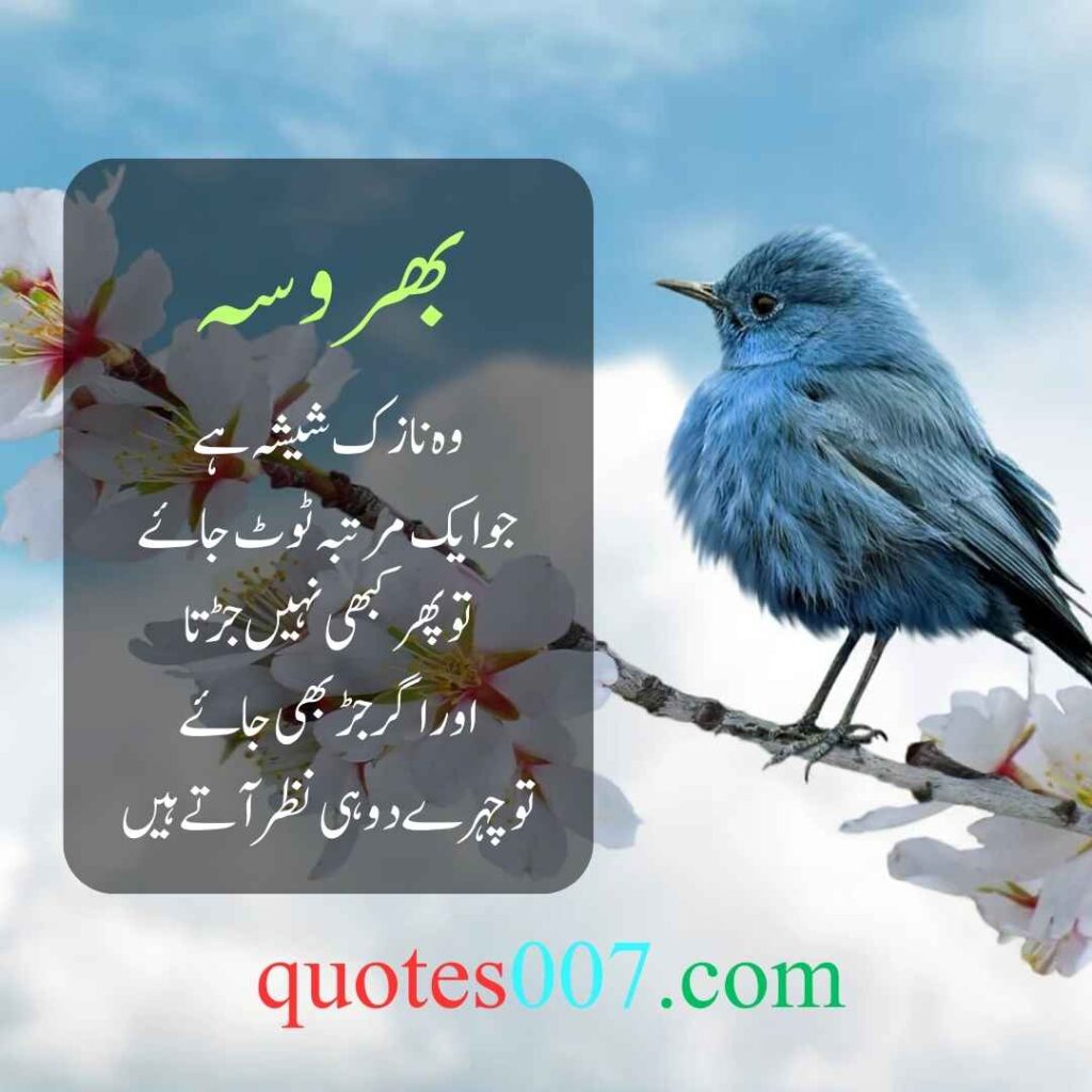 Urdu Quotes of the day