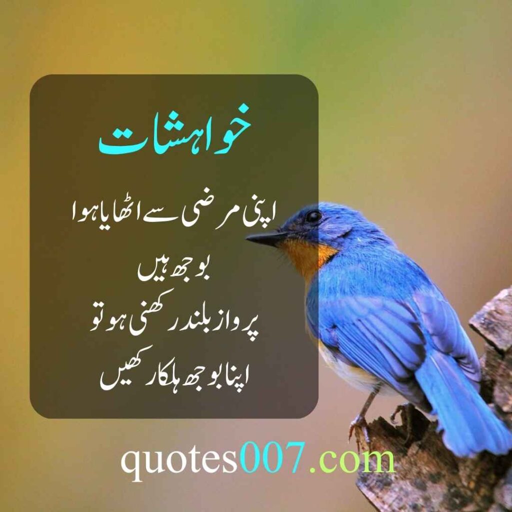 Urdu Quotes of the day